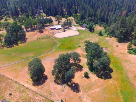 Colfax horse ranch for sale 3 Coffee Real Estate